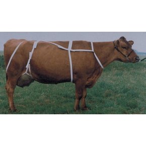 Kerbl Protecție pentru uger 1579060418 XL