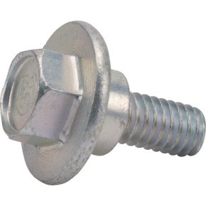 Briggs & Stratton Șurub 1732426SM 5/16-18x0