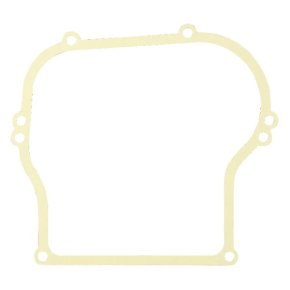 Briggs & Stratton Garnitură Carter 270125