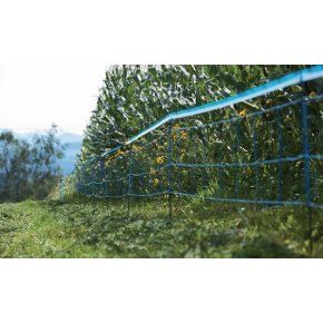 AKO Bandă pentru gard electric 27240 Wildnet albastră 250m