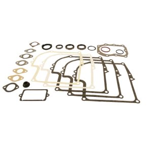Briggs & Stratton Set de garnituri 299577
