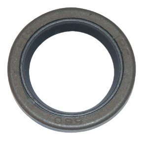 Briggs & Stratton Simering 299819S