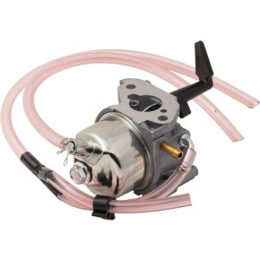 Briggs & Stratton Carburator 311392GS