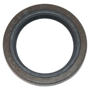 Briggs & Stratton Simering 391086S