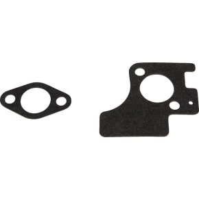 Briggs & Stratton Garnitură 392854