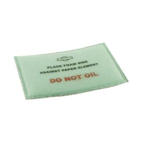 Briggs & Stratton Pre-filtru 399039