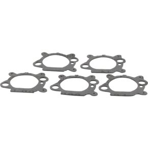 Briggs & Stratton Garnitură filtru de aer 4156 795629 5 buc