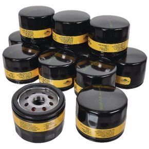 Briggs & Stratton Filtru de ulei 4237 842921 Set 12x 57 mm lungime