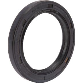 Briggs & Stratton Simering 491019