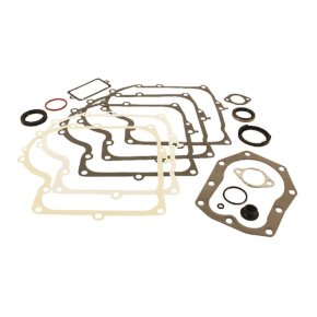 Briggs & Stratton Set de garnituri 494241