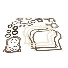 Briggs & Stratton Set de garnituri 495603