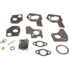 Briggs & Stratton Kit de reparare carburator 495606