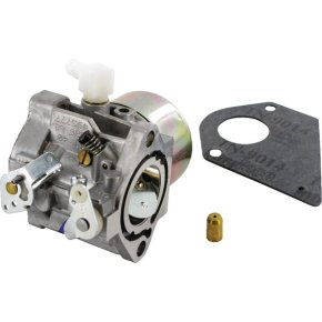 Briggs & Stratton Carburator 495778
