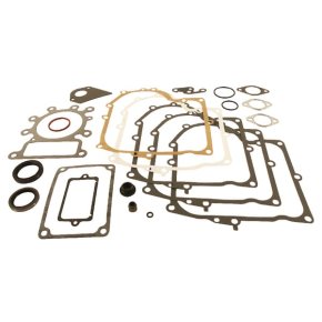 Briggs & Stratton Set de garnituri 495993