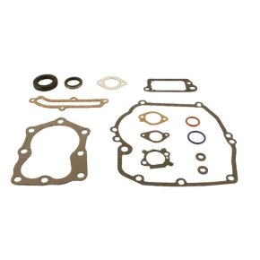 Briggs & Stratton Set garnituri 496117