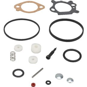Briggs & Stratton Kit de reparare carburator 498260