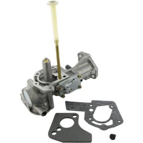 Briggs & Stratton Carburator 498298