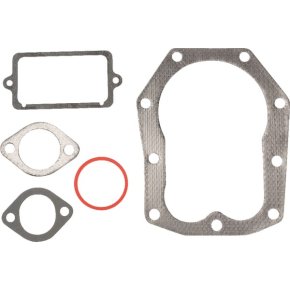 Briggs & Stratton Set de garnituri 498539 OVHL