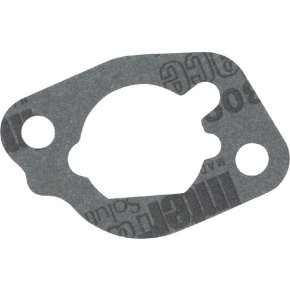 Briggs & Stratton Garnitură filtru aer 590605