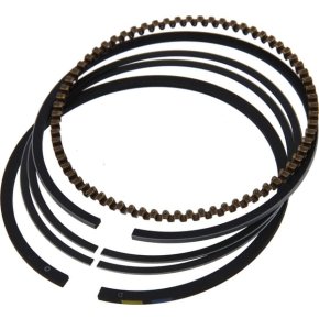 Briggs & Stratton Set inel 591452