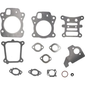 Briggs & Stratton Set garnituri 592174