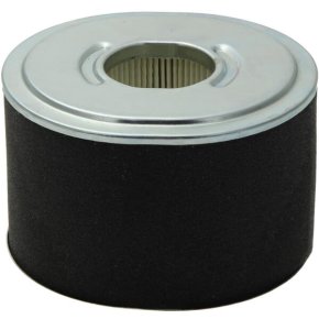 Briggs & Stratton Filtru de aer 592605