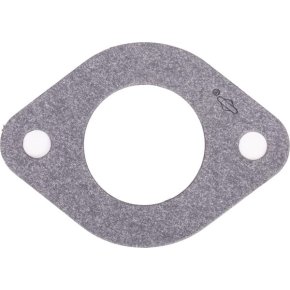 Briggs & Stratton Garnitură admisie 594204