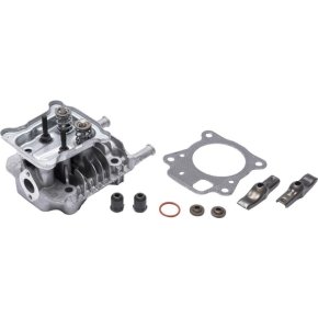 Briggs & Stratton Cap cilindru 597267