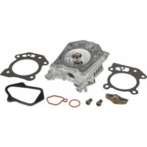 Briggs & Stratton Cap cilindru 84006584