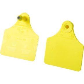 Allflex Crotalii 61656101 F09 - M09 100 seturi Galben