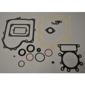 Briggs & Stratton Set garnituri 691580