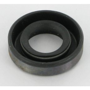 Briggs & Stratton Simering 691952 391484