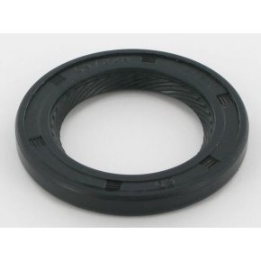 Briggs & Stratton Simering 692550