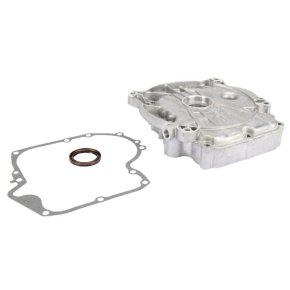 Briggs & Stratton Capac carter 697106