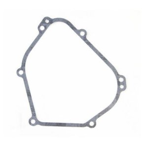 Briggs & Stratton Garnitură Carter Motor 699485