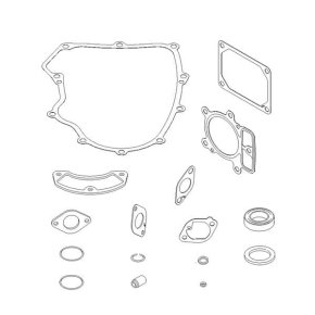 Briggs & Stratton Set garnituri 699823 model 40 en 44 V