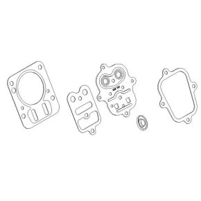 Briggs & Stratton Garnitură chiulasă 791798
