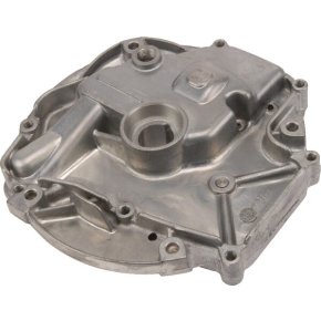 Briggs & Stratton Capac carter 793509