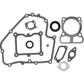 Briggs & Stratton Set garnituri 793623