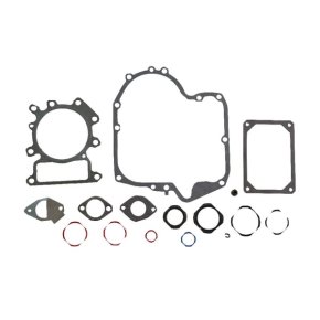 Briggs & Stratton Set de garnituri 796187
