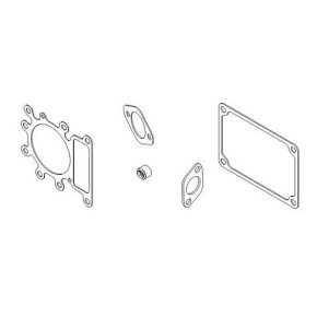 Briggs & Stratton Set de garnituri 794152 690190