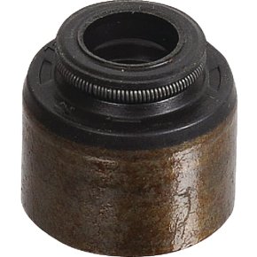 Briggs & Stratton Garnitură supapă 795440