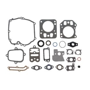 Briggs & Stratton Set de garnituri 795442