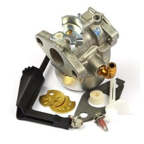 Briggs & Stratton Carburator 798653
