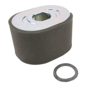 Briggs & Stratton Filtru Aer 799818