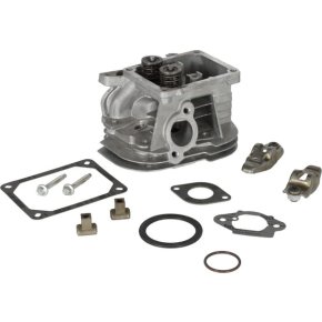 Briggs & Stratton Chiuloasă 799858