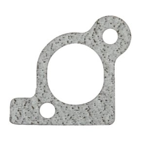 Briggs & Stratton Garnitură de admisie 806418 806415