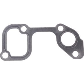 Briggs & Stratton Garnitură 820100