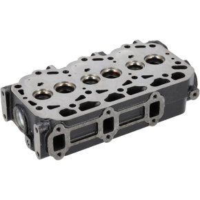 Briggs & Stratton Cap cilindru 825683