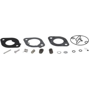 Briggs & Stratton Set reparație carburator 84001917